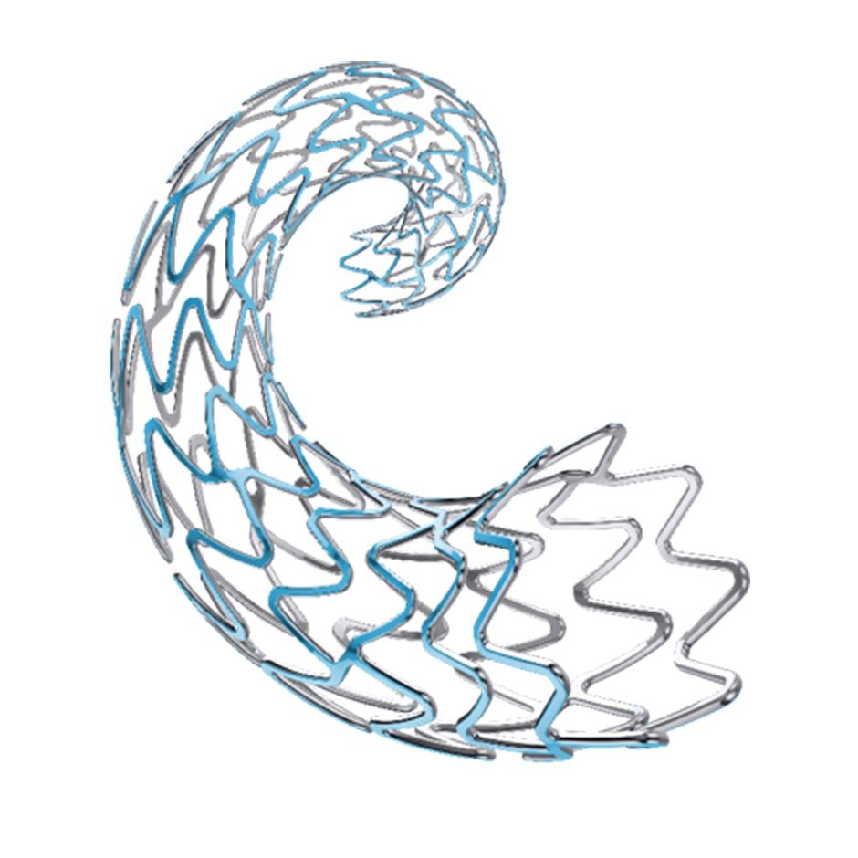 BioMatrix Ultra Stent (Polimersiz stent)